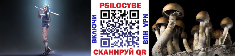 blacksprut сайт  Первоуральск  Галлюциногенные грибы прущие грибы  как найти закладки 